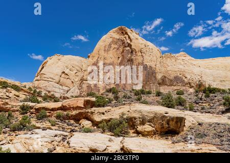 Magnifique paysage autour de la piste Hickman Bridge Trail du parc national de Capitol Reef dans l'Utah Banque D'Images