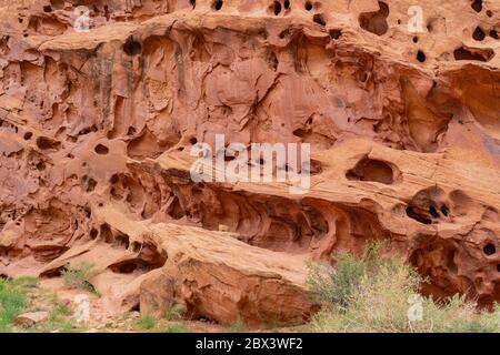 Magnifique paysage le long de la Cassidy Arch Trail du parc national de Capitol Reef, dans l'Utah Banque D'Images