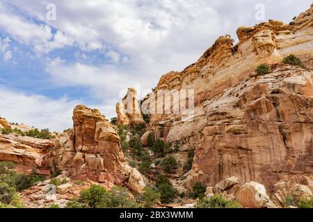 Magnifique paysage le long de la Cassidy Arch Trail du parc national de Capitol Reef, dans l'Utah Banque D'Images