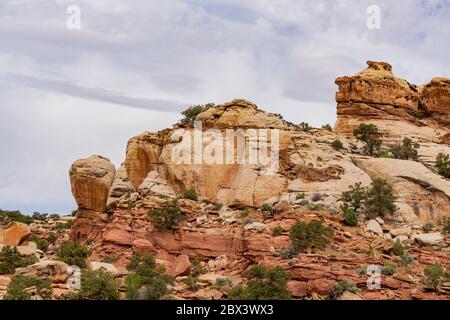 Magnifique paysage le long de la Cassidy Arch Trail du parc national de Capitol Reef, dans l'Utah Banque D'Images