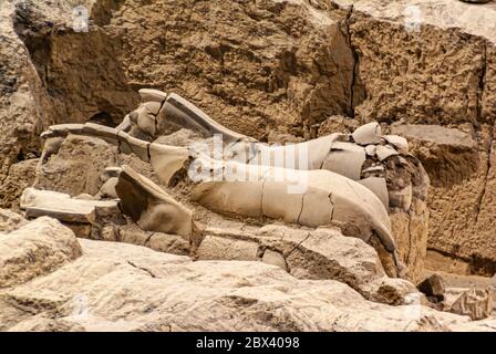 Xian, Chine - 1er mai 2010 : salle d'excavation de l'armée de terre cuite. 2 morceaux cassés de beige corps de cheval sculptures en cours d'excavation de la saleté brune. Banque D'Images