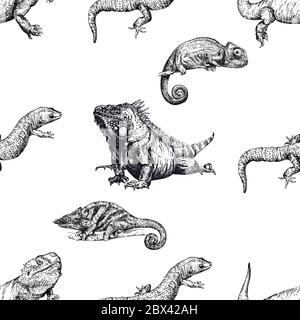 Motif sans couture de reptiles dessinés à la main isolés sur fond blanc. Illustration vectorielle. Illustration de Vecteur