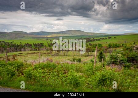 Lough Tay, Irlande Banque D'Images