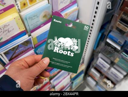 Montréal, Canada - le 03 mai 2020 : carte-cadeau Roots dans une main sur un stand avec cartes-cadeaux. Roots est une marque canadienne publique qui vend des vêtements, l Banque D'Images