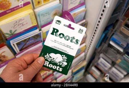 Montréal, Canada - le 03 mai 2020 : carte-cadeau Roots dans une main sur un stand avec cartes-cadeaux. Roots est une marque canadienne publique qui vend des vêtements, l Banque D'Images