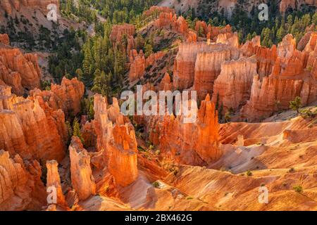 Des zoos à Bryce Canyon éclairés par la lumière de rebond du matin, vus depuis inspiration point dans le parc national de Bryce Canyon, Utah. Banque D'Images