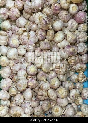Texture de la pile d'ail blanc. Ail frais sur la table du marché photo de près. Vitamine saine alimentation image d'épices. Image des ingrédients de la cuisine épicée. Pile de wh Banque D'Images