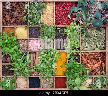 Microgreens et épices. Herbes, salades et fleurs comestibles cultivées en hydroponique et diverses épices dans un plateau en bois Banque D'Images