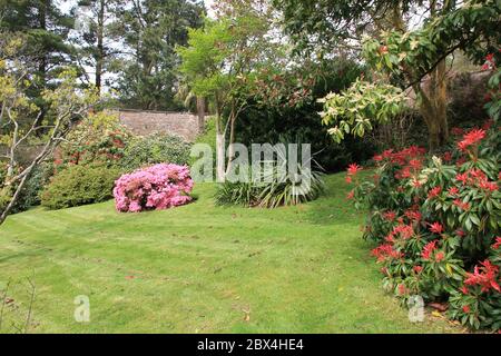 Château de Penrhyn et jardin à Llandygai, au nord du pays de Galles. Royaume-Uni Banque D'Images