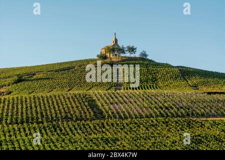 La chapelle Saint Michel au village Fleurie Beaujolais, vignoble, département du Rhône, région Auvergne-Rhône-Alpes, France, Europe Banque D'Images