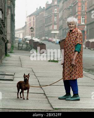 DDR-Land / Saxe / locataire résidentiel / 6/ 1990 Chemnitz (Karl-Marx-Stadt), quartier résidentiel Sonnenberg, locataire avec chien en début de matinée. Le trimestre a été assez défait. // Architecture / Décarie / Vieille ville [traduction automatique] Banque D'Images