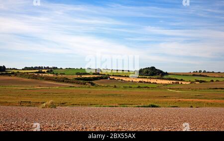 Vue de la crête de galets sur les marais de pâturage vers une zone agricole mixte dans le nord du Norfolk à Salthouse, Norfolk, Angleterre, Royaume-Uni, Europe. Banque D'Images