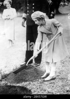 La princesse Margaret creuse un trou pour planter un arbre devant le Royal Naval College de Dartmouth. En arrière-plan est sa mère Elizabeth Bowes-Lyon. Banque D'Images