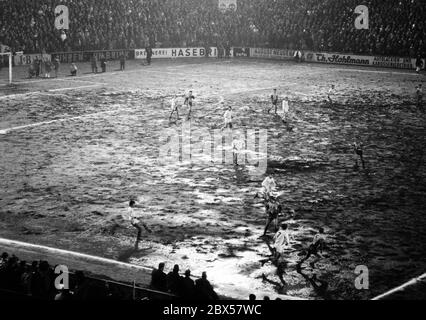 Combat de boue à RW Essen contre Borussia Moenchengladbach, Bundesliga, saison 1969/1970, Rot-Weiss Essen contre Borussia Moenchengladbach 1: 0, Stadion an der Hafenstrasse. Banque D'Images