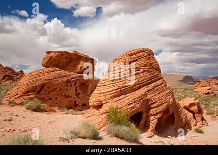 Les formations rocheuses inhabituelles des ruches dans le parc national de la Vallée de feu, Nevada, Etats-Unis Banque D'Images