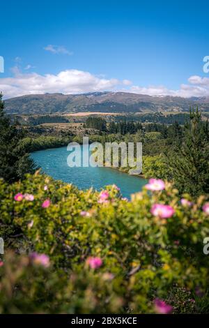 Shotover River, Queenstown, Nouvelle-Zélande Banque D'Images