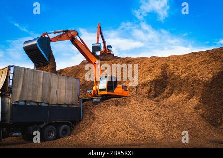 Pelle rétro se tenant sur une grosse pile de copeaux de bois se chargeant dans le camion. Copeaux de bois stockage et transport de matières premières. Banque D'Images