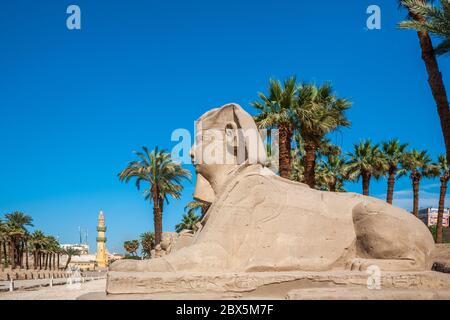 Sphinx Alley dans le complexe du temple de Karnak, Louxor, Égypte Banque D'Images