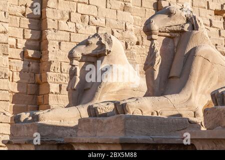 Deux sphinx à tête en bélier dans le complexe du temple de Karnak, Louxor, Égypte Banque D'Images