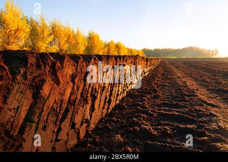 Rangées de cutted tourbe à côté d'une excavation dans une tourbière au nord-ouest de l'Allemagne Banque D'Images