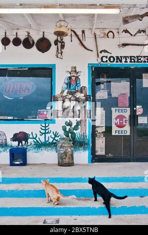 Chats à l'ouest des peintures murales à la boutique en front de route et café Contreras sur l'autoroute US-59 près de Laredo, Texas, Etats-Unis Banque D'Images