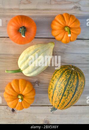 Petits citrouilles sur fond de bois. Composition de la pose à plat Banque D'Images