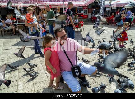 Touristes avec pigeons à la place Bascarsija dans la vieille ville de Sarajevo.Bosnie-Herzégovine. Banque D'Images