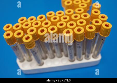 Les tubes à essai destinés à être utilisés pour les échantillons de sang sont installés sur une table à un programme de test des anticorps du coronavirus au centre d'ambulance Hollymore du West Midlands Ambulance Service à Birmingham. Banque D'Images