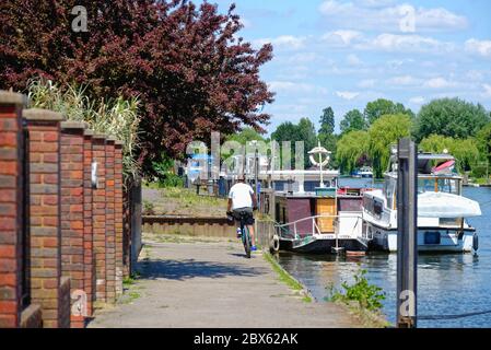 Vue arrière d'un cycliste mâle sur le sentier de la Tamise lors d'une chaude journée d'été dans le Old Windsor Berkshire Angleterre Banque D'Images