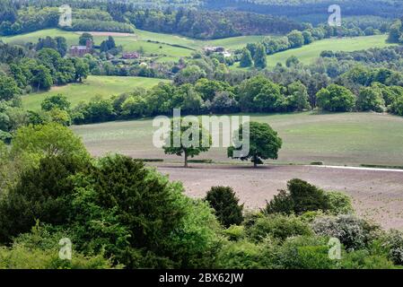 La vue de Newlands Corner près de Guildford en direction du village d'Albury dans le Surrey Hills Angleterre Royaume-Uni Banque D'Images