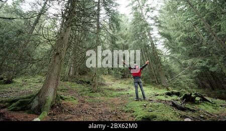 un homme qui marche seul dans une forêt par une journée de brouillard Banque D'Images