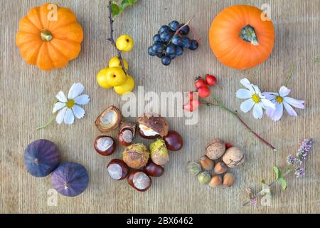 Automne nature fond avec des fruits et châtaignes sur texture bois. Composition de la pose à plat Banque D'Images