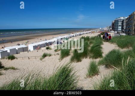 Vue sur les dunes de sable et plage de North Sea Resort Banque D'Images