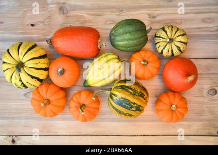 Citrouilles et cendres diverses sur fond en bois Banque D'Images