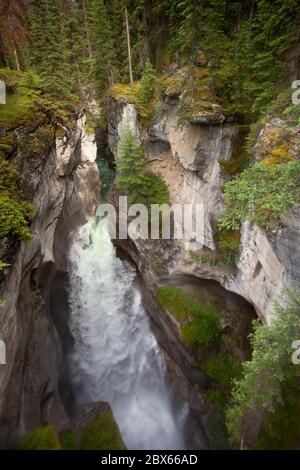 Cascade dans le canyon Maligne Banque D'Images