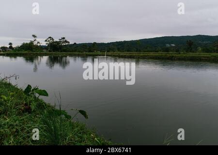 paysage tropical, amazone, bord de rivière, bassins de tilapia, vert persistant, arbres Banque D'Images