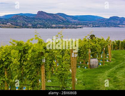 Vue sur le paysage du banc de Naramata le long du lac Okanagan Banque D'Images