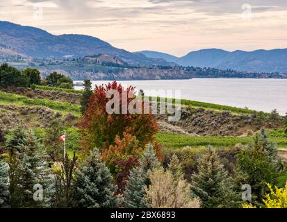 Vue sur le paysage du banc de Naramata le long du lac Okanagan Banque D'Images