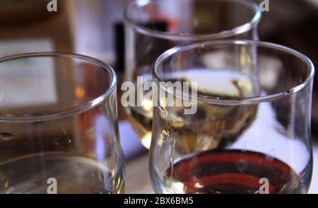 Verres de vin rouge et blanc lors d'une dégustation de vins dans un domaine viticole Banque D'Images