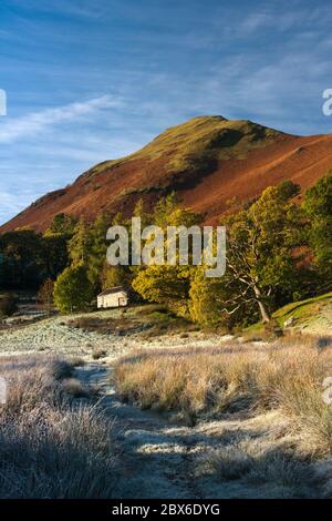 Couleurs d'automne et une grange traditionnelle vue de Brandelhow regardant Catbells est tombée. Près de Derwentwater, le parc national du Lake District, Angleterre. Banque D'Images