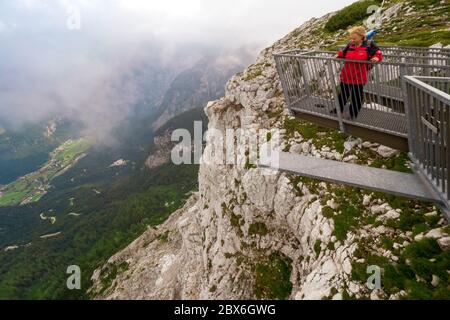 Touriste regardant la falaise à la plate-forme d'observation de 5 doigts au sommet de la montagne Krippenstein, région de Salzkammergut, OÖ, Autriche Banque D'Images