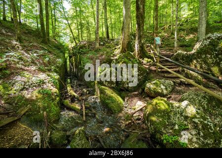 Tranchée dans la roche, faite par des raftsmen il y a des siècles, au fond de la forêt primitive entourant le légendaire lac Kammersee et Toplitzsee, Autriche Banque D'Images