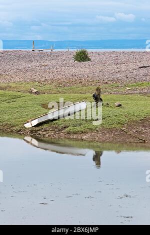 Un bateau à rames sur les rives du port intérieur à Porlock Weir, Somerset, Angleterre, Royaume-Uni. Partie du South West Coast Path dans le parc national d'Exmoor. Banque D'Images