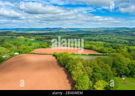 Spreeng dans le Devon vu au-dessus de Beacon Hill près d'Exeter, Devon, Angleterre, Royaume-Uni, Europe Banque D'Images