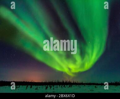 aurores boréales (aurora borealis) visibles depuis la rivière Churchill sur la toundra à l’extérieur de Churchill, Manitoba, Canada. Banque D'Images