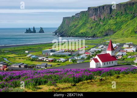 Vue sur les piles de basalte Reynisdrangar, plage de sable noir près de Vik et de fleurs de lupin violet et église solitaire, sud de l'Islande Banque D'Images