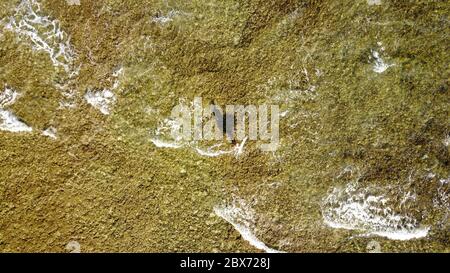 Vue aérienne du surfeur tenant une planche à voile et approchant des vagues. Soleil a jeté une ombre sur un surfeur, fond rocheux, eau transparente, ensoleillé W Banque D'Images