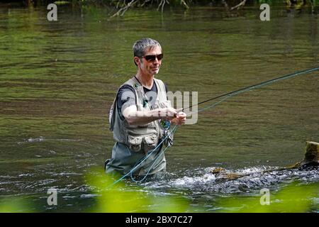 Un pêcheur de truite pêche à la mouche pour la truite arc-en-ciel avec une tige de mouche sur la rivière Metolius dans les montagnes Cascade du centre de l'Oregon. Banque D'Images