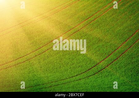 Rolling hills ensoleillée avec des champs pour les fonds appropriés ou d'écran, paysage de saison naturelle. Southern Moravia République Tchèque, Banque D'Images