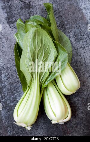 Le Bok choy, vue du dessus sur ardoise foncé. Banque D'Images